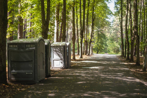 Best Luxury portable toilet rental  in Yaeyville, NC